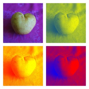 Pomme de terre Collage