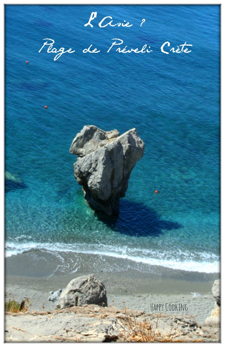 Plage de Préveli _Crète