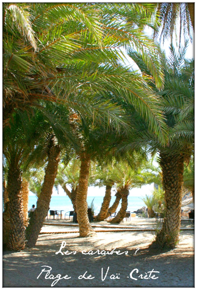 Plage de Vaï _Crète