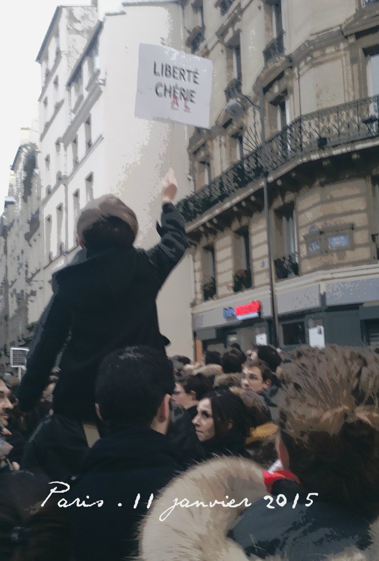 Paris 11 janvier 2015
