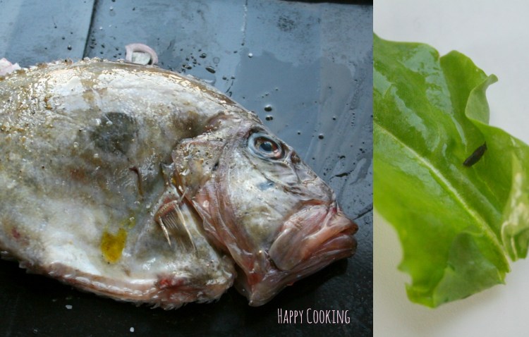 St Pierre au four_oseille